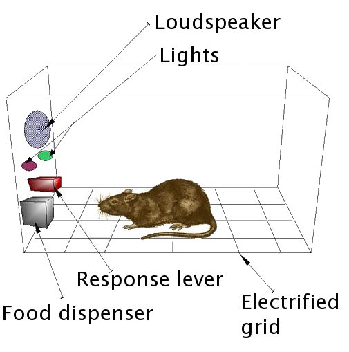 Skinner_box_scheme_01