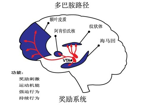 奖励系统